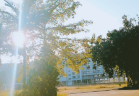 江門幼兒師范學(xué)校開設(shè)專業(yè)、有哪些專業(yè)