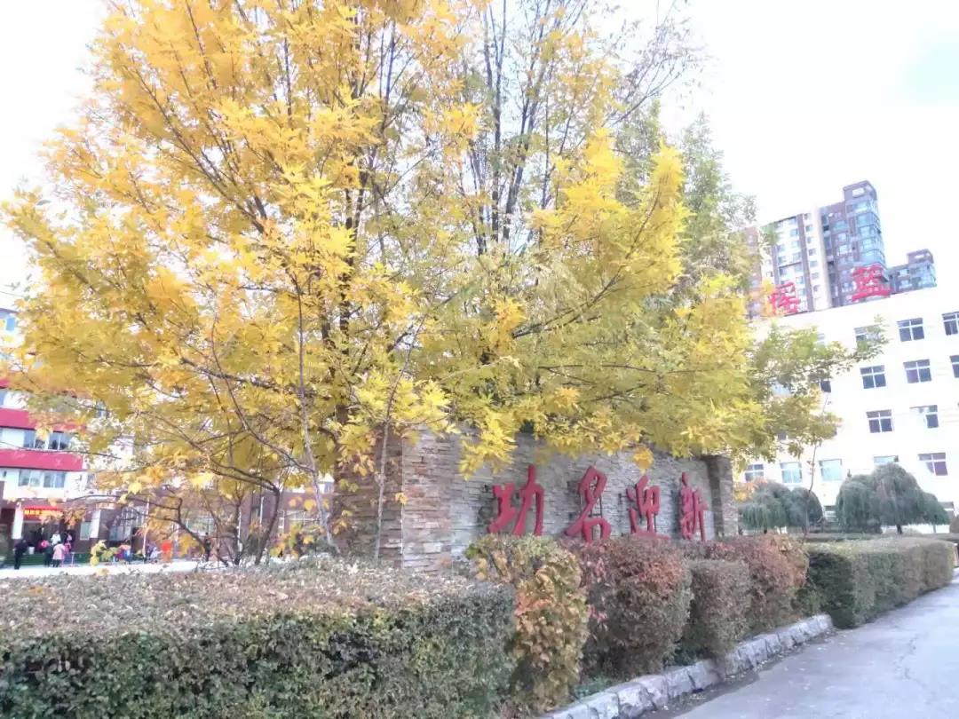 沈陽樂府藝術學校