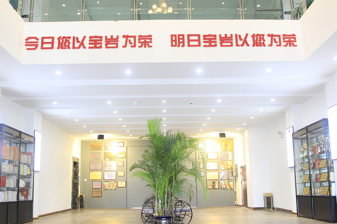 沈陽寶巖藝術學校
