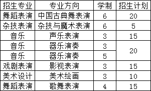 大連藝術(shù)學(xué)校招生計劃