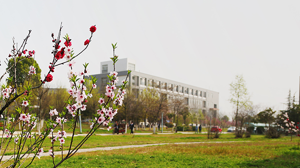 安徽新華學(xué)校