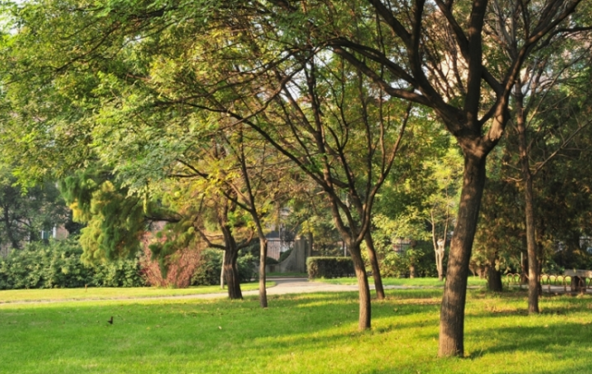 桂平市第一中等職業(yè)技術(shù)學校