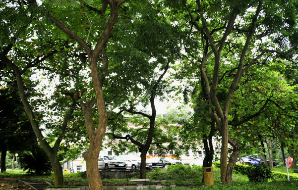 南寧市中南理工職業(yè)技術(shù)學校