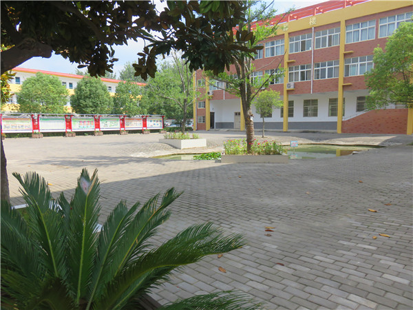 潁上信息工程學(xué)校