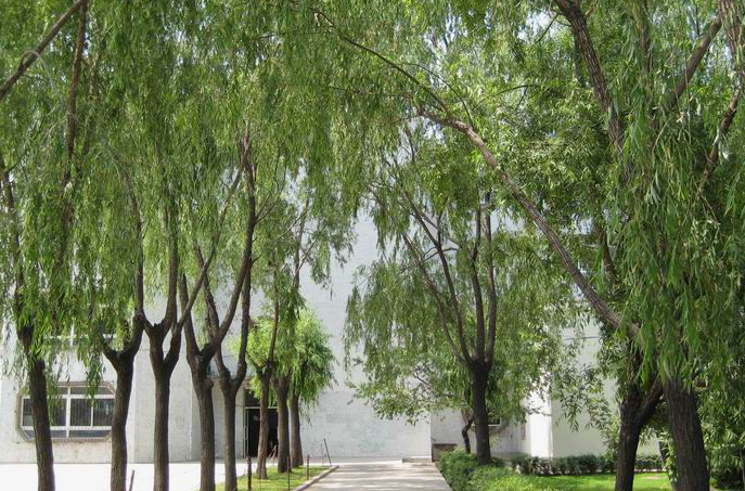 合山市職業(yè)技術(shù)學(xué)校