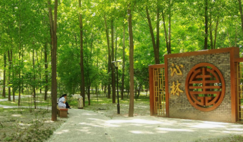 陸川縣中等職業(yè)學(xué)校