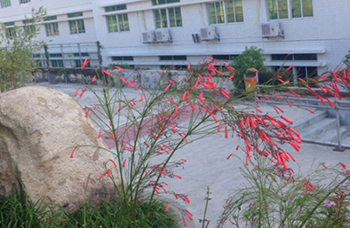 銀川市第一職業(yè)中專學(xué)校