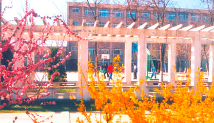 寧夏機(jī)電工程學(xué)校環(huán)境、學(xué)校圖片