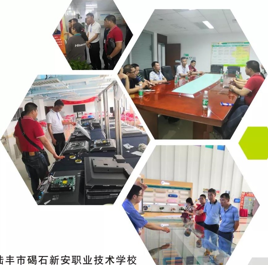 陸豐市碣石新安職業(yè)技術學校