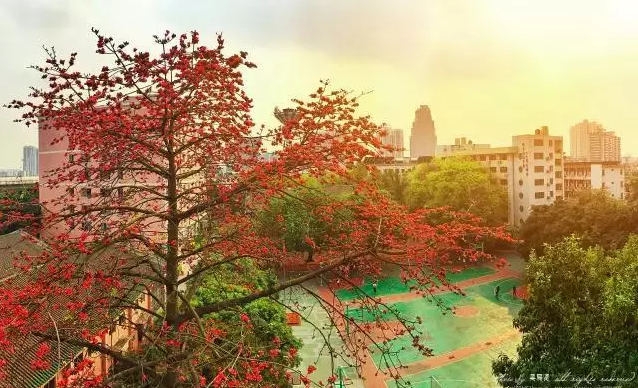 廣東省商業(yè)職業(yè)技術(shù)學(xué)校學(xué)費多少、學(xué)校收費標(biāo)準(zhǔn)